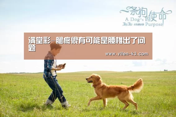 满堂彩-腿疼很有可能是腰椎出了问题(图4) 满堂彩