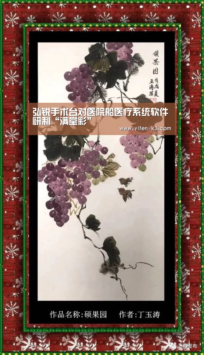 弘锐手术台对医院船医疗系统软件研制“满堂彩”(图1) 满堂彩官网
