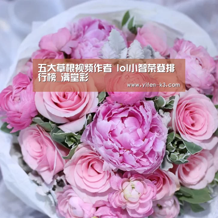 五大草根视频作者 lol小智荣登排行榜_满堂彩(图4) 满堂彩开奖查询